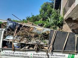 Best Demolition Debris Removal in Lakefield, MN